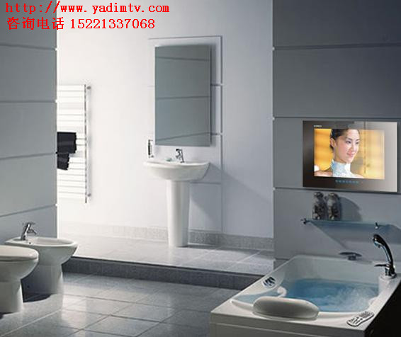 定制各种尺寸镜面电视