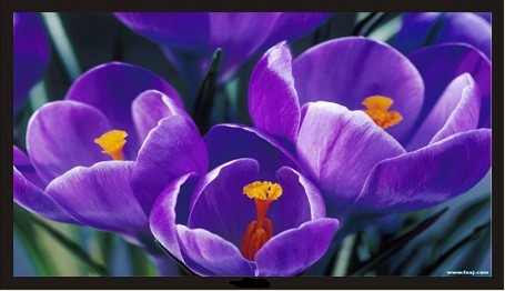 22寸液晶监视器