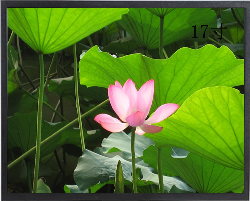 17寸液晶监视器