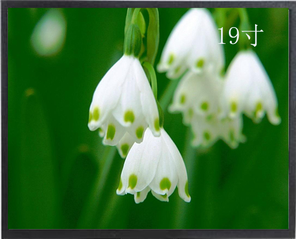 19寸液晶监视器