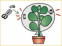 GV-50P学生专用型气体采样器GV-50P