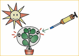 GV-50P学生专用型气体采样器GV-50P