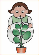 GV-50P学生专用型气体采样器GV-50P