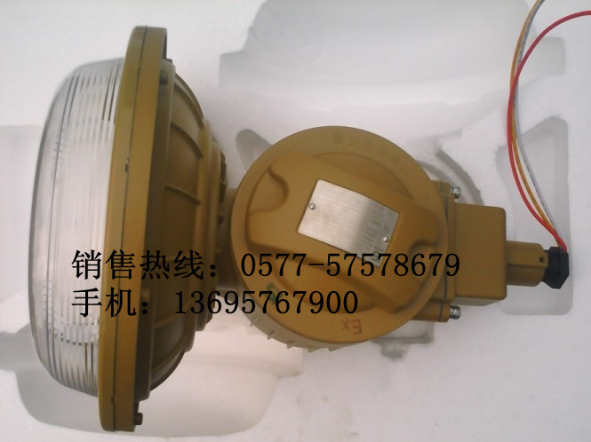 SBD1106-YQL65A免维护节能防爆灯