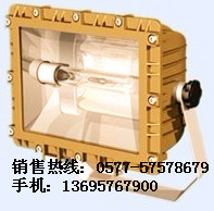 SBD1109防爆泛光灯