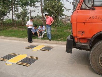 2012吉安市便携式称重仪质量好