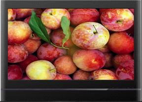 20寸楼宇广告机