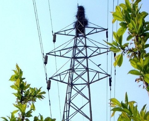 超声波驱鸟设备