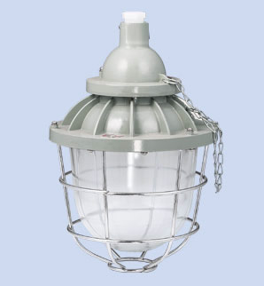 d□53-Ⅱ隔爆型防爆灯【中安网】