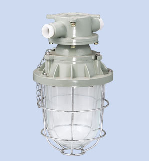  d□□-PD隔爆型防爆灯(棚顶安装)
