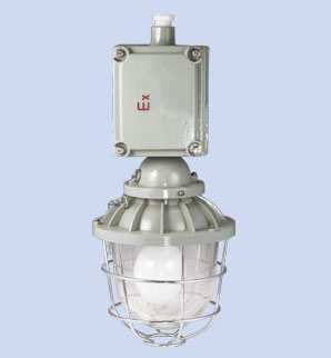  d□□-Z隔爆型防爆灯(带镇流器)