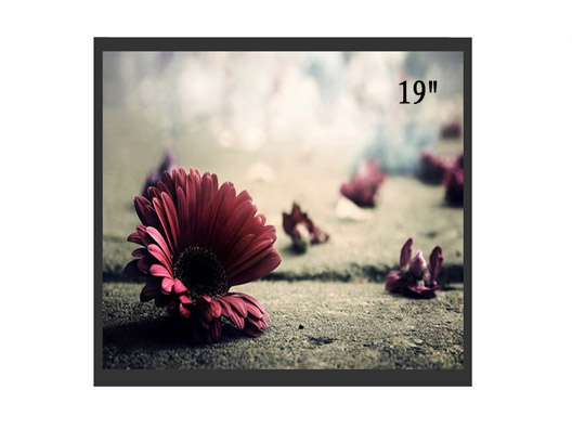 19寸液晶监视器