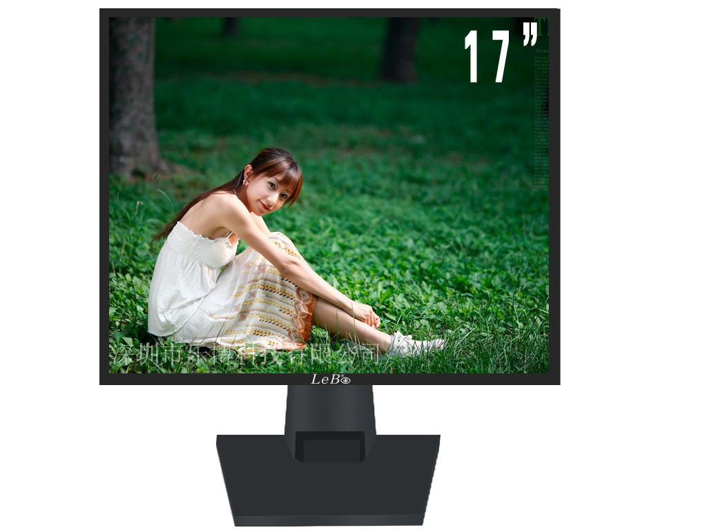 安防液晶监视器 LB-M0170