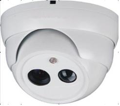 白色金属点阵大海螺