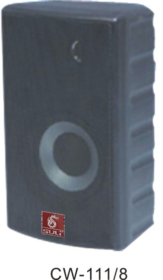 带高音壁挂音箱