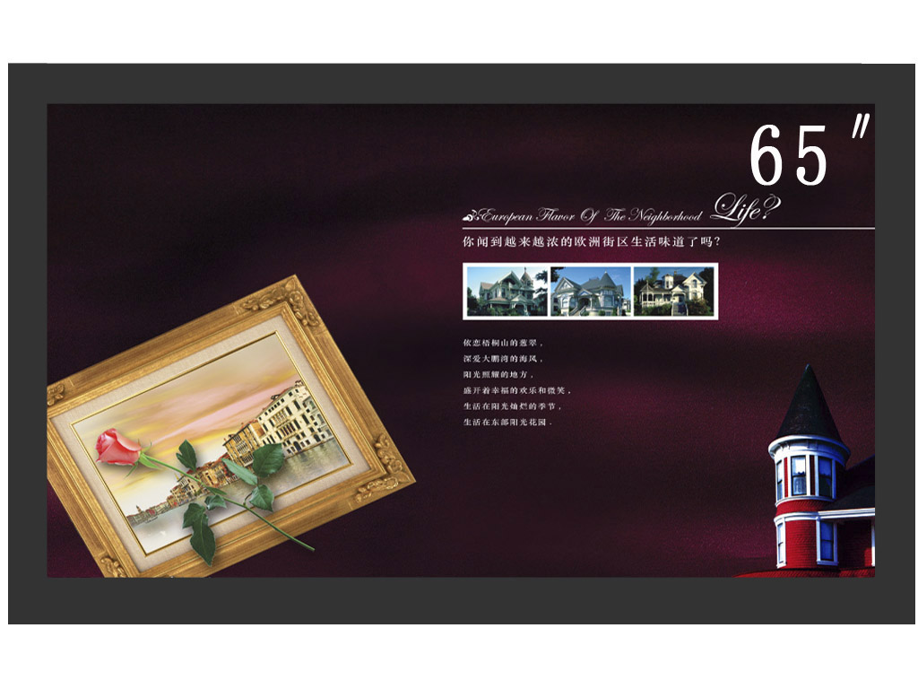 液晶监视器 LB-M0650