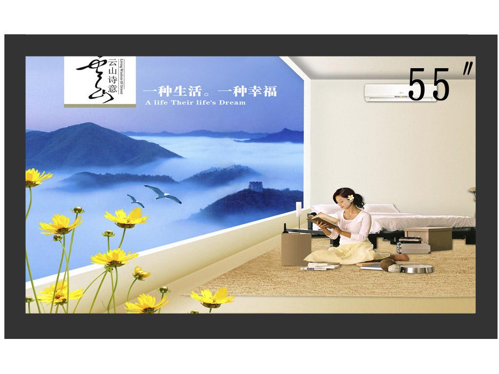 液晶监视器 LB-M0550