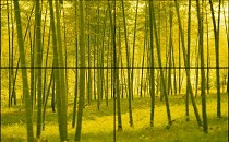 46寸超窄边LED液晶拼接屏-双重拼接