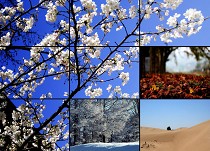 60寸超窄边液晶拼接屏-双重拼接