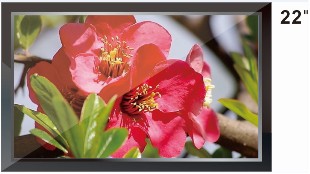 22寸液晶监视器|深圳液晶监视创新维第一品牌