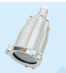 ABSg-100(60)隔爆型视孔灯