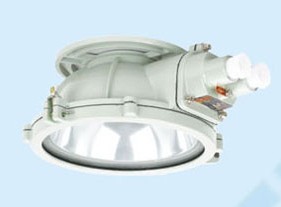 BXL-100防爆吸顶灯