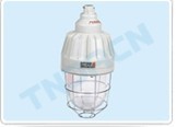 ccd-250隔爆型防爆灯