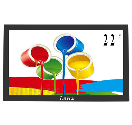 22寸专业监视器