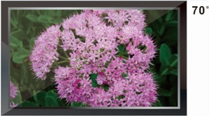 70寸液晶监视器.三星监视器.创维监视器.TCL监视器.