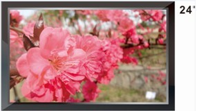 24寸高清液晶监视器.三星监视器.工业显示器.创维监视器