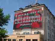 LED显示屏-LED格栅屏-小云雀