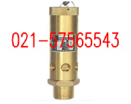 AK28H-16T弹簧式安全阀