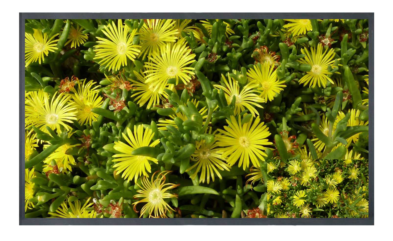 17寸19寸22寸至42寸安防监视器 SDI接口