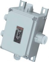 三诺防爆接线箱 BJX系列防爆接线箱 防爆接线箱