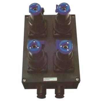 温州防爆防腐电源插座箱 BXS8030 防爆防腐电源插座箱