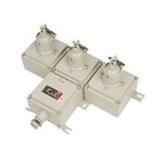 防爆检修电源插座箱 BXS系列防爆检修电源插座箱（IIB）