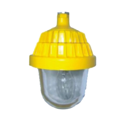 BPC8720防水防尘防爆弯灯 防爆平台灯厂家