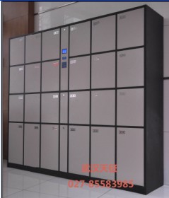 武汉天征物流电子柜 高效物流的好帮手
