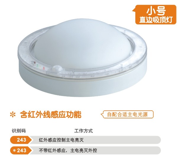 新国标消防应急照明灯-吸顶灯 直边吸顶灯 语音灯 M-243