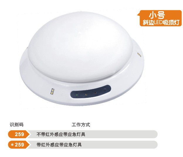 新国标消防应急照明灯- 应急灯 吸顶灯 红外感应灯 M-259