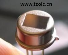 D204B 热释电红外传感器
