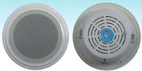 10W有源带功放吸顶音箱