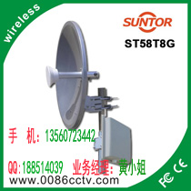 无线图像监控，远距离无线监控，工地塔吊无线像头