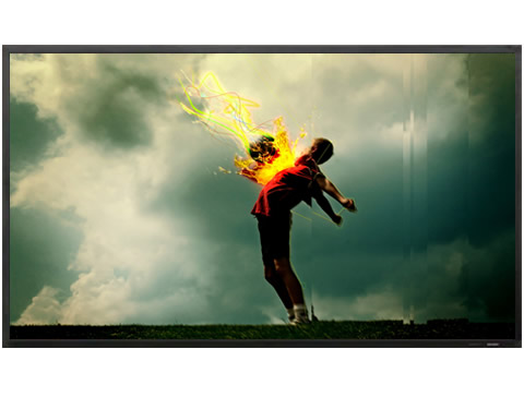 夏普PN-E521专业液晶显示器