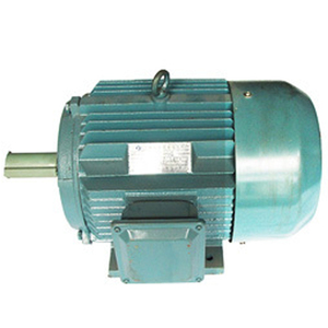 稀土永磁电动机