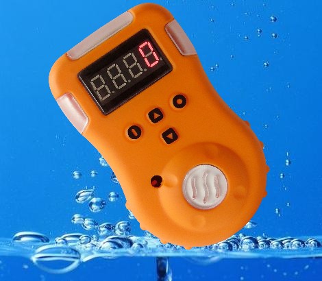 便携式气体检测仪 |硫化氢一氧化碳便携式气体检测仪