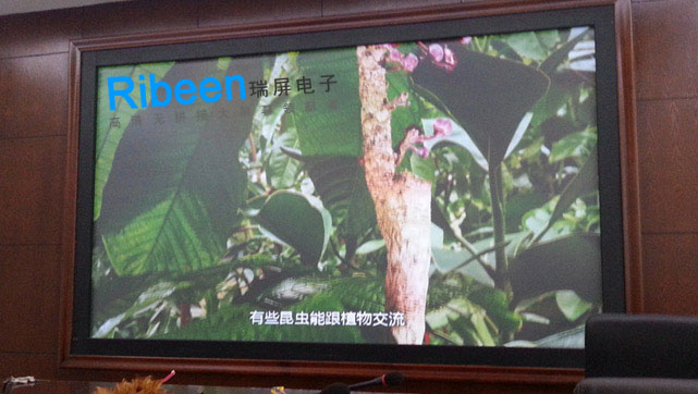 瑞屏RIBEEN专业供应高清无缝无拼接DLP大屏幕