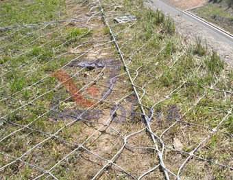 河南被动防护网丨厂家/供应商丨值得信赖