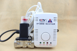 2014年燃气报警器十大品牌-永康牌燃气泄漏警报器诚招代理商