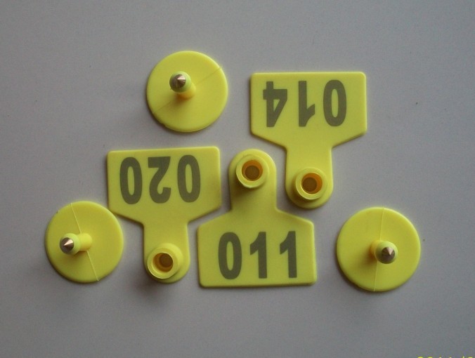 13.56MHZ高频S50动物耳标/14443A宠物电子耳环/RFID猪耳标签